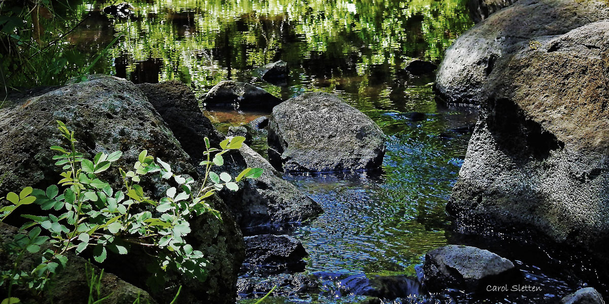 river bed area photo by carol setten