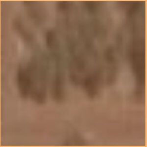 Orange Square - $500