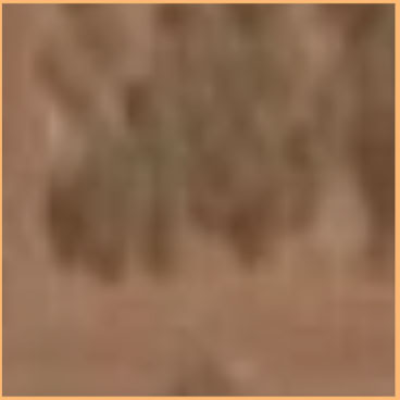 Orange Square - $500