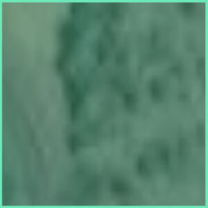 Green Square - $200